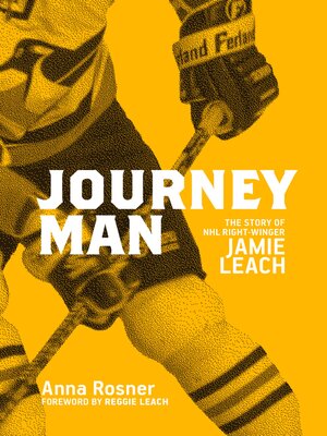 cover image of Journeyman
